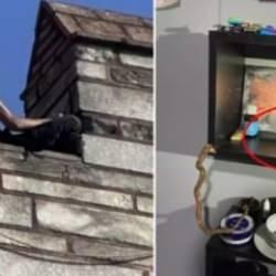 19 yaşındaki katilin kitaplığında kemik sıyırma bıçağı görüntülendi