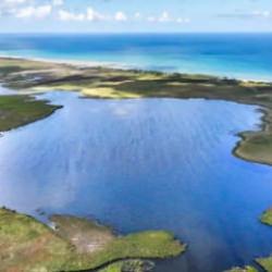 Amazon kadınları burada h&uuml;k&uuml;m s&uuml;rd&uuml;! Amazon Tabiat Parkı&rsquo;ndan muhteşem g&ouml;r&uuml;nt&uuml;ler