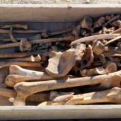 Burdur'daki Hacılar Höyüğü'nde 5 bin yıllık iskelet bulundu