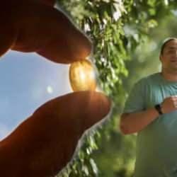 Kilo vermede D vitaminin etkisi nedir? D vitamini eksikliği kilo alımına sebep olur mu?