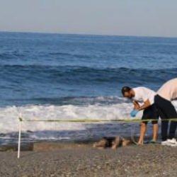 Kıyıya ceset vurdu, onlar denize girmeye devam etti
