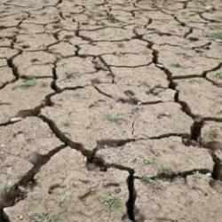 Niğde &Ouml;mer Halisdemir &Uuml;niversitesi'nin kuraklığı &ouml;nleyecek projesine T&Uuml;BİTAK'tan destek