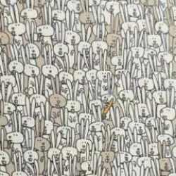 Sadece 20 saniyede zihin jimnastiği! Tavşanlar arasındaki sincabı bulabilir misin?