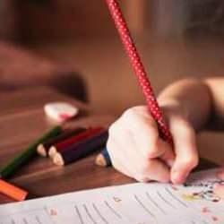 Türkiye'de muhtemel eğitim süresi 2023'te 17,9 yıl oldu
