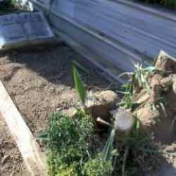 Adli Tıp a&ccedil;ıkladı: Mezar, Cem Garioğlu'na ait!