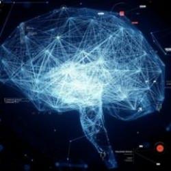 Fare beyninde atıkları temizleyen "glimfatik sistemin" insan beynindeki izlerine ulaşıldı