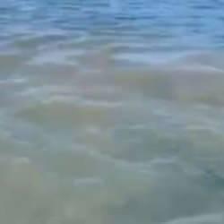 İzmir'den sonra şimdi de Aydın! CHP'li belediye denizi kanalizasyon suyu ile kirletti