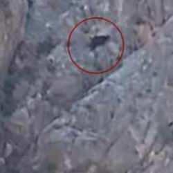 Ke&ccedil;ilere kurtarma operasyonunda ger&ccedil;ek bambaşka &ccedil;ıktı