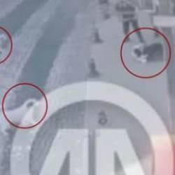 Kocaeli'nde pitbull dehşeti! Saldırı anı kamerada 