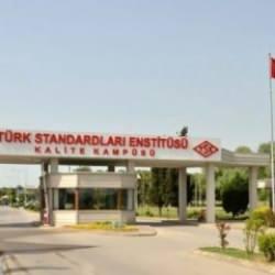 TSE 161 sözleşmeli personel alacak