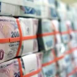 BES'te gelecek yıl yüzde 50'nin üzerinde büyüme bekleniyor