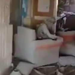 İsrail her yerde onu arıyordu! Yahya Sinvar'ın şehit edildiği evin konumu şaşkına çevirdi