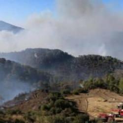 Muğla'nın 2 il&ccedil;esinde orman yangınlarına m&uuml;dahale s&uuml;r&uuml;yor