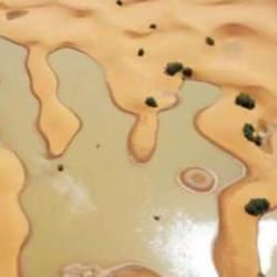 Sahra &Ccedil;&ouml;l&uuml;'nde sel: 50 yıldır kurak olan g&ouml;l doldu