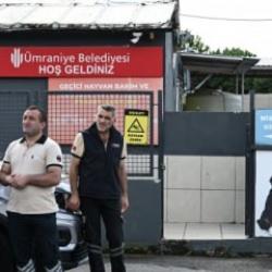 Ümraniye’de korkunç vandallık:Barınağı basıp zabıtayı bıçakladılar,285 hayvanı kaçırdılar!