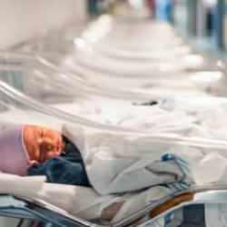 Yenidoğan çetesinin şeması ortaya çıkartıldı