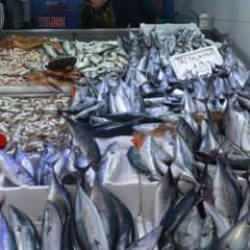 1,3 kiloluk palamutlar 100 lira!