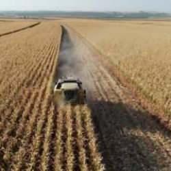 Emtia piyasasında geçen hafta değerli metaller pozitif ayrıştı