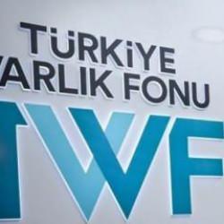Türkiye Varlık Fonu'na devredilen 3 şirket tescillendi