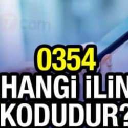 0354 alan kodu hangi ilimize ait? 354 numaralı telefon kodu nereden geliyor?