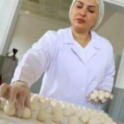 Peyniri kurutup ABD'ye ihraç ediyor