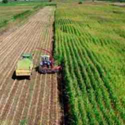 Tarımsal destek &ouml;demeleri ne zaman yatacak, yattı mı? 2024 destek &ouml;demeleri ka&ccedil; TL olacak?