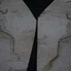 Arjantin'de 161 milyon yıllık fosil keşfedildi