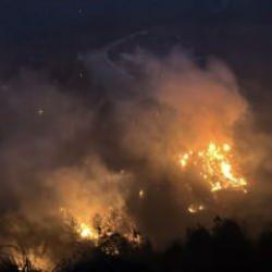 Hatay'da çıkan orman yangını söndürülmeye çalışılıyor!