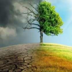 İklim krizinde son şans: COP29 Zirvesi’nde enerji ve gelecek için acil çağrı