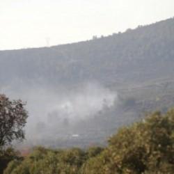 Muğla'da ormanlık ve zeytinlik alanda yangın