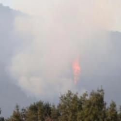 Denizli'deki orman yangını kontrol altına alındı