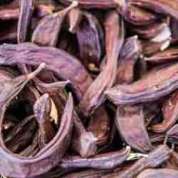 Tarihte “Peygamber ekmeği” olarak biliniyor: Kanserli hücrelere karşı güçlü ve doğal koruyucu!