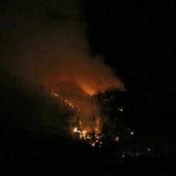 Adana'da orman yangını!