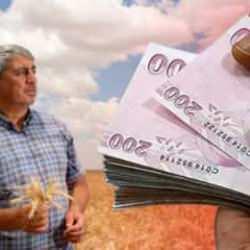 Bakanlık duyurdu: 213,4 milyon lira bugün hesaplara aktarılacak