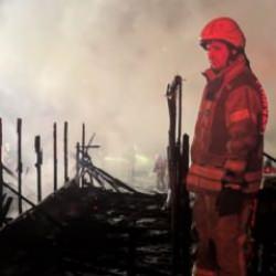 Esenyurt'ta yangın faciası: Çok sayıda hayvan telef oldu