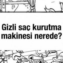 Gözlem yeteneğine güvenenlere özel: Sadece 5 saniyeniz var! Gizli saç kurutma makinesi nerede?