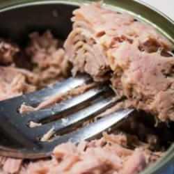 Konserve ton balıklarında cıva tespit edildi: Bağışıklık sistemini ve organları çökertiyor! Avrupa'da cıva skandalı