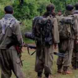 Terör destekçisi batılı güçler panikte: Kafalarına buyruk hareket ediyorlar!