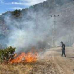 Son dakika: Antalya'da orman yangını! 