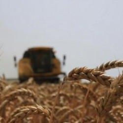 TARSİM'de 2025 yılı Bitkisel Üretim Sezonu açıldı