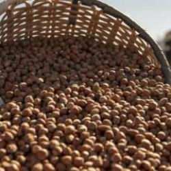 Ticaret borsalarında 2 ayda 174 bin tonu aşkın fındık işlem gördü