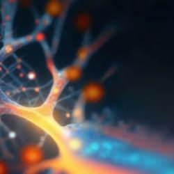 Vücudun gizli hafızası olduğu ortaya çıktı: Beyin gibi anı depoluyorlar!