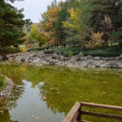 Bozkırın ortasındaki Japon bah&ccedil;esi! Sonbahar renkleriyle b&uuml;y&uuml;l&uuml;yor