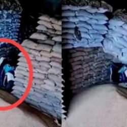 Depoda işçi hatası ölüm getirdi: Tonlarca çuval üzerlerine düştü