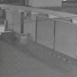 Görenleri şaşkına uğratan hırsızlık! At arabasıyla gelip...