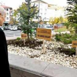 Bahçeli genel merkez önüne ‘Biz kardeşiz ağaçları’ dikti! MHP'den 1 Ekim vurgusu
