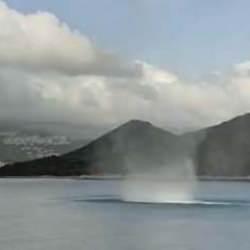 Antalya'da seraları hortum ve kuvvetli sağanak vurdu