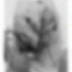 Başıboş sokak köpekleri küçük Alperen'i paramparça etti