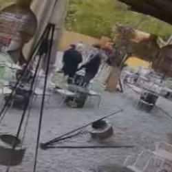 Kafede pitbull dehşeti! Genç kıza ve köpeğine saldırdı