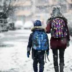 Yarın okullar tatil mi? 25 Kasım Pazartesi Adana, Kayseri, Niğde'de okul yok mu?